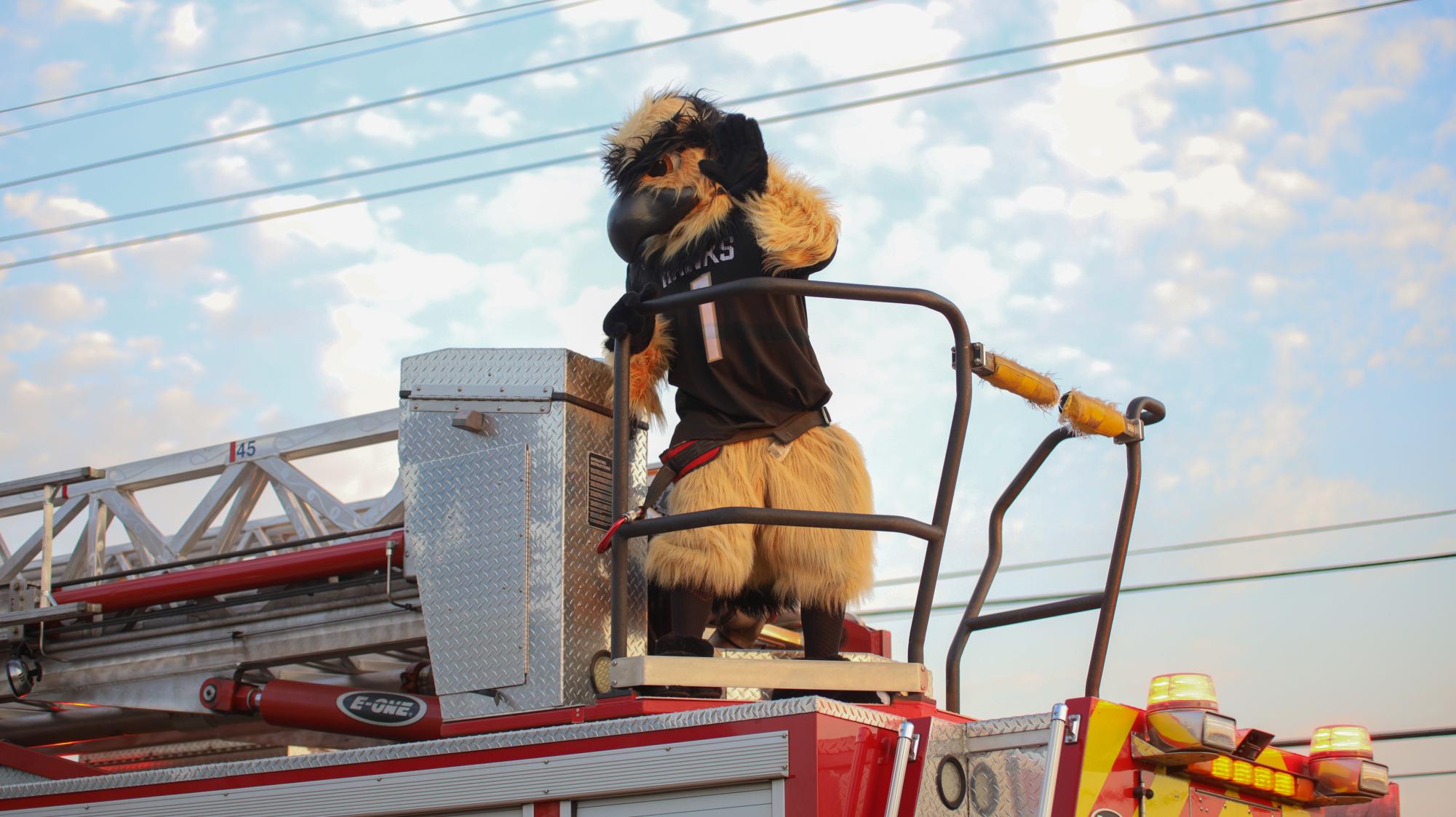 Decorative Background