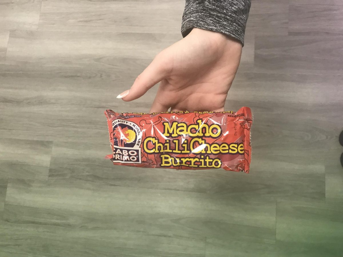 A Ruthless School Food Review