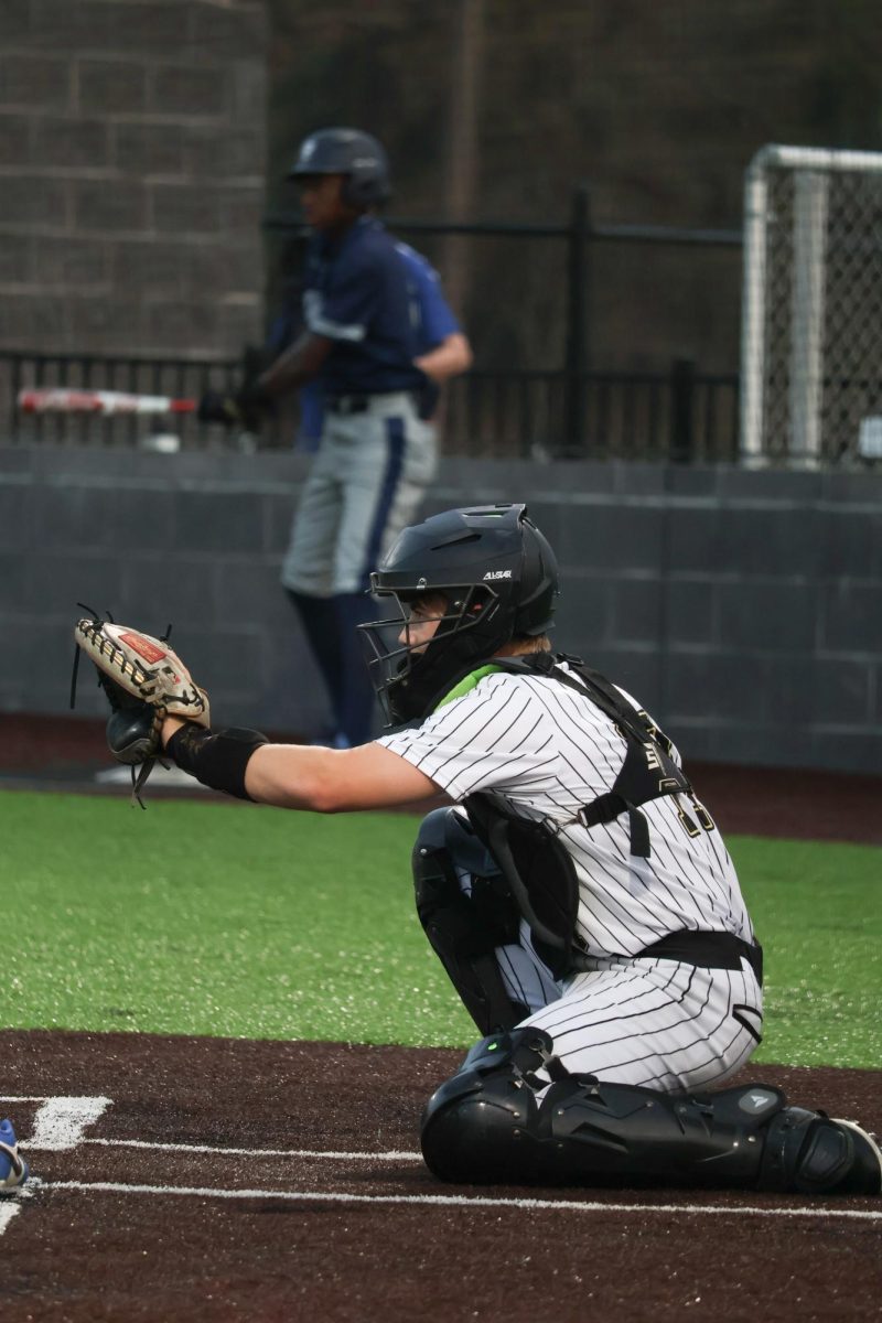 Hey Batter Batter!